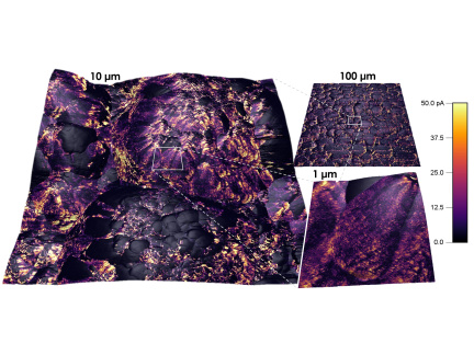 Jupiter XR - velkoformátové AFM